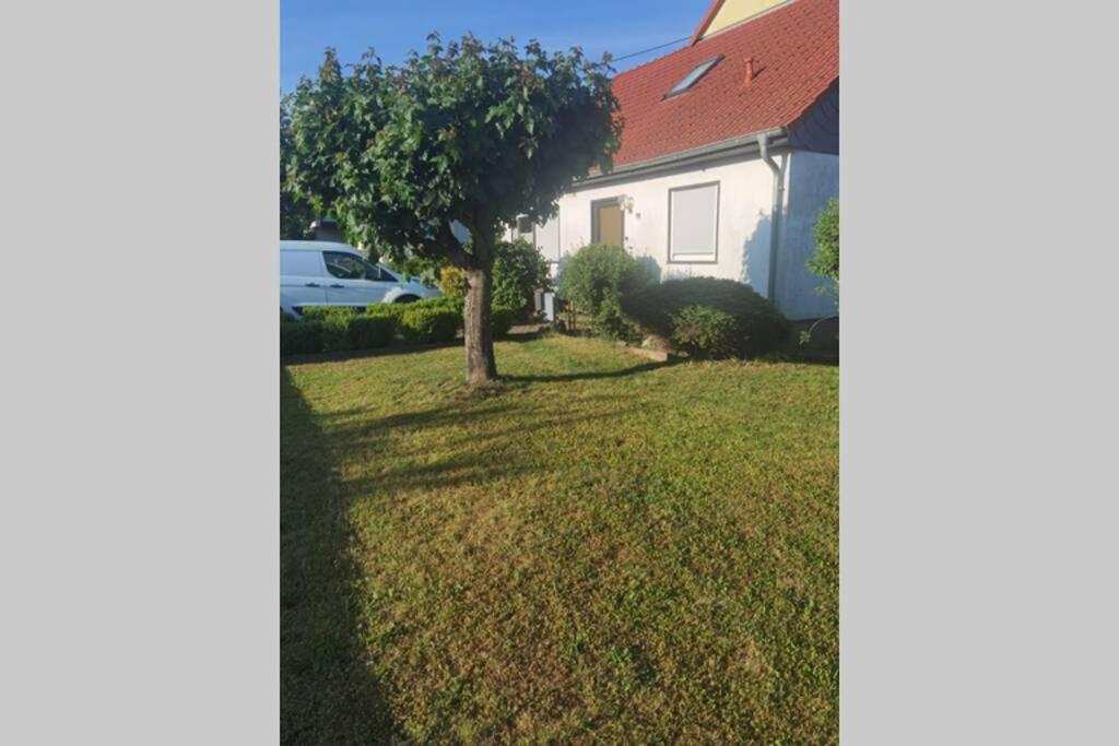Wohnung Naehe Losheimer Stausee Niederlosheim Kültér fotó